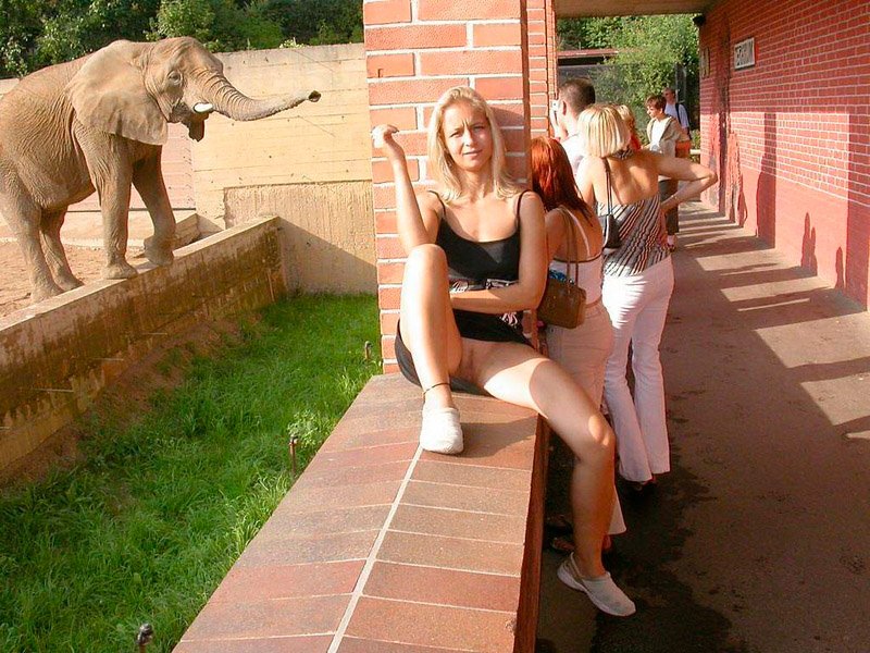 Голая девушка в зоопарке